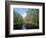 Okefenokee Swamp-James Randklev-Framed Photographic Print