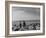 Oklahoma Farmer with His Two Sons and Their Dogs Walking Toward a Fenced in Field-Alfred Eisenstaedt-Framed Photographic Print