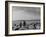 Oklahoma Farmer with His Two Sons and Their Dogs Walking Toward a Fenced in Field-Alfred Eisenstaedt-Framed Photographic Print