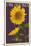 Oklahoma - Sunflowers - Letterpress-Lantern Press-Mounted Art Print