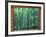 Okochi Sanso, Kyoto, Japan-Rob Tilley-Framed Photographic Print