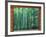 Okochi Sanso, Kyoto, Japan-Rob Tilley-Framed Photographic Print