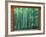 Okochi Sanso, Kyoto, Japan-Rob Tilley-Framed Photographic Print