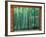 Okochi Sanso, Kyoto, Japan-Rob Tilley-Framed Photographic Print