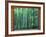 Okochi Sanso, Kyoto, Japan-Rob Tilley-Framed Photographic Print