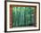 Okochi Sanso, Kyoto, Japan-Rob Tilley-Framed Photographic Print