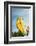 Oktoberfest, 'Wies'N', Funfair, Munich, Bavaria-Bluehouseproject-Framed Photographic Print