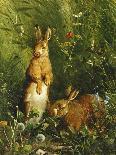 Hares-Olaf August Hermansen-Giclee Print
