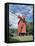 Oland Windmill, Skansen, Stockholm, Sweden-Peter Thompson-Framed Premier Image Canvas