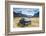 Old Abandoned American Car by Road, British Colombia, Canada-Peter Adams-Framed Photographic Print