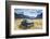 Old Abandoned American Car by Road, British Colombia, Canada-Peter Adams-Framed Photographic Print