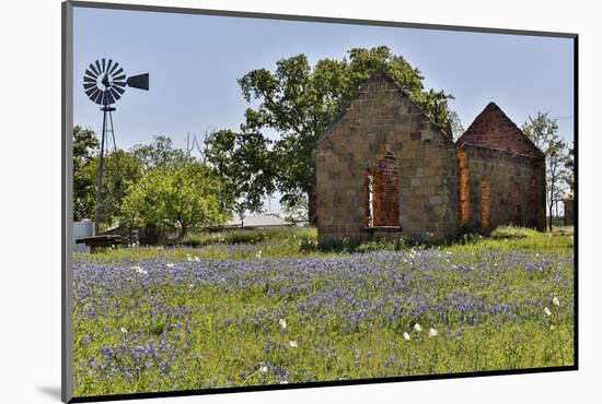 Old abandoned building, Cherokee, Texas-Darrell Gulin-Mounted Photographic Print