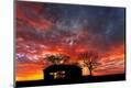 Photographic Print