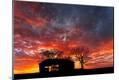 Photographic Print