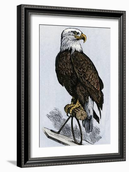 Old Abe, the Bald Eagle Mascot of Wisconsin's Iron Brigade, US Civil War-null-Framed Giclee Print