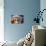 Old Absinth House-Diane Millsap-Premium Giclee Print displayed on a wall