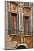 Old and Colorful Doorways and Windows in Venice, Italy-Darrell Gulin-Mounted Photographic Print
