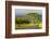 Old and New Trees in the Moloa'A Forest Reserve, Kauai, Hawaii, USA-Richard Duval-Framed Photographic Print