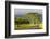 Old and New Trees in the Moloa'A Forest Reserve, Kauai, Hawaii, USA-Richard Duval-Framed Photographic Print