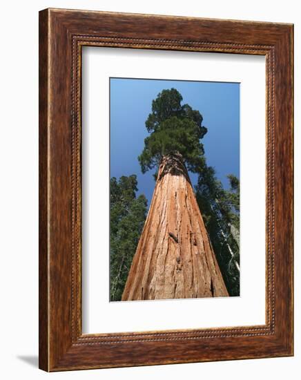 Old As Ages-null-Framed Art Print