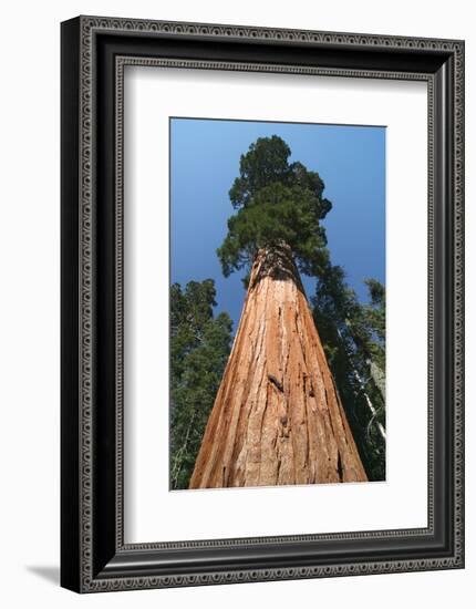 Old As Ages-null-Framed Art Print
