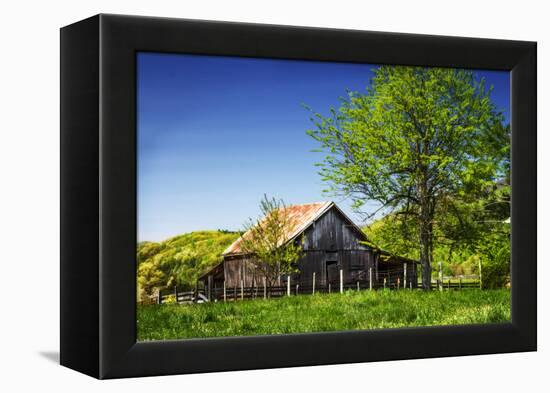 Old Backyard Barn-Alan Hausenflock-Framed Premier Image Canvas