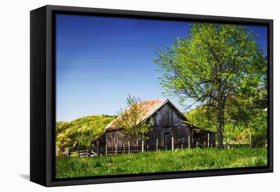 Old Backyard Barn-Alan Hausenflock-Framed Premier Image Canvas