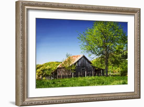 Old Backyard Barn-Alan Hausenflock-Framed Photographic Print