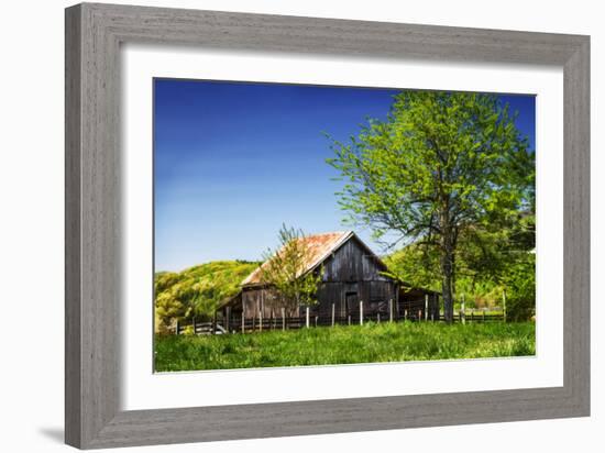 Old Backyard Barn-Alan Hausenflock-Framed Photographic Print