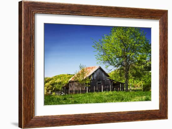 Old Backyard Barn-Alan Hausenflock-Framed Photographic Print