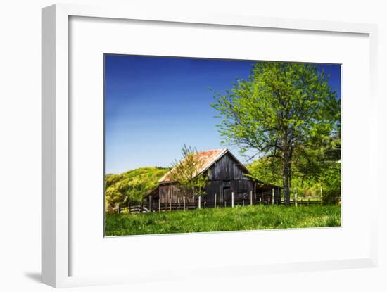 Old Backyard Barn-Alan Hausenflock-Framed Photographic Print