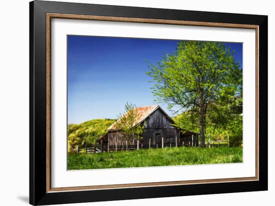 Old Backyard Barn-Alan Hausenflock-Framed Photographic Print