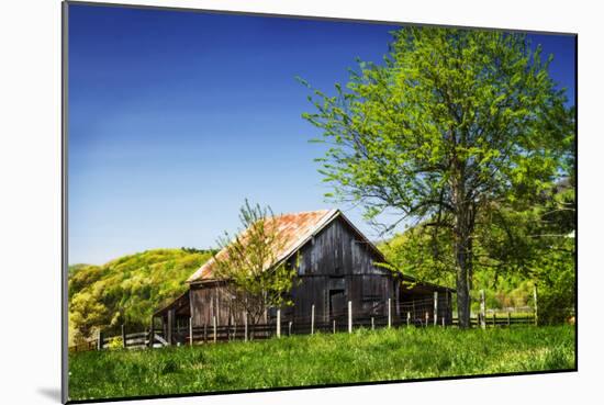 Old Backyard Barn-Alan Hausenflock-Mounted Photographic Print