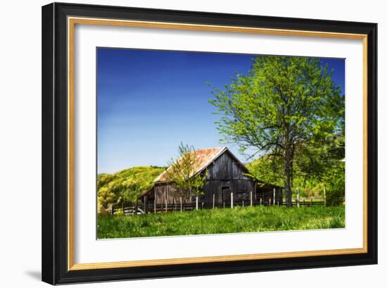 Old Backyard Barn-Alan Hausenflock-Framed Photographic Print