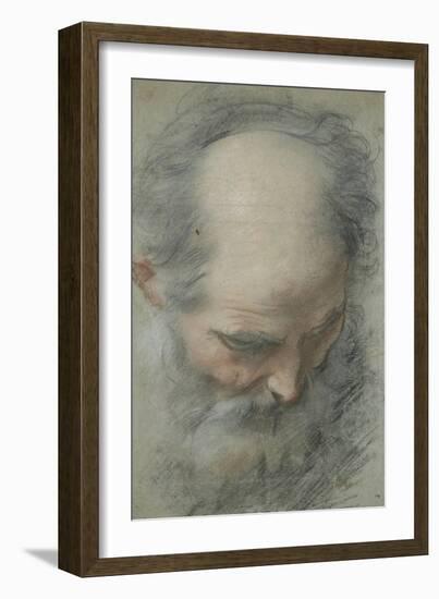 Old Bald Head and Bearded, Nearly Face, Looking Down-Federico Barocci-Framed Giclee Print