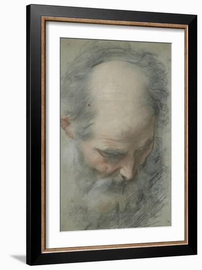 Old Bald Head and Bearded, Nearly Face, Looking Down-Federico Barocci-Framed Giclee Print