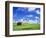 Old Barn Amidst Pea Field-Terry Eggers-Framed Photographic Print