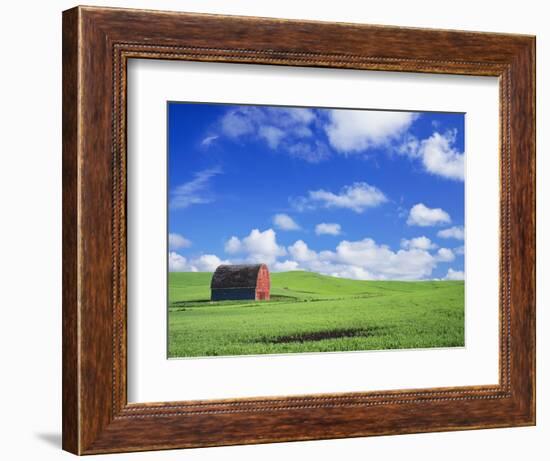 Old Barn Amidst Pea Field-Terry Eggers-Framed Photographic Print