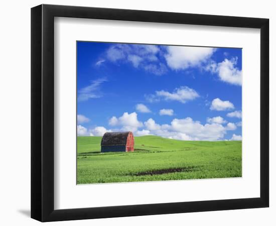 Old Barn Amidst Pea Field-Terry Eggers-Framed Photographic Print