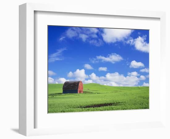 Old Barn Amidst Pea Field-Terry Eggers-Framed Photographic Print