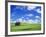 Old Barn Amidst Pea Field-Terry Eggers-Framed Photographic Print