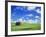 Old Barn Amidst Pea Field-Terry Eggers-Framed Photographic Print