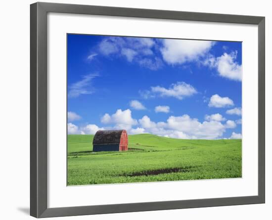 Old Barn Amidst Pea Field-Terry Eggers-Framed Photographic Print