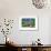 Old Barn and Cows-Robert Goldwitz-Framed Photographic Print displayed on a wall