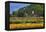 Old Barn and Flower Nursery, Willamette Valley, Oregon, USA-Jaynes Gallery-Framed Premier Image Canvas