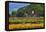 Old Barn and Flower Nursery, Willamette Valley, Oregon, USA-Jaynes Gallery-Framed Premier Image Canvas