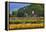 Old Barn and Flower Nursery, Willamette Valley, Oregon, USA-Jaynes Gallery-Framed Premier Image Canvas