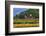 Old Barn and Flower Nursery, Willamette Valley, Oregon, USA-Jaynes Gallery-Framed Premium Photographic Print