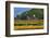 Old Barn and Flower Nursery, Willamette Valley, Oregon, USA-Jaynes Gallery-Framed Photographic Print