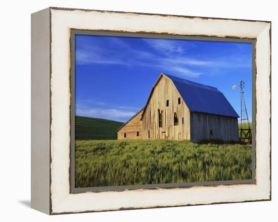 Old Barn and Spring Wheat Field-Terry Eggers-Framed Premier Image Canvas